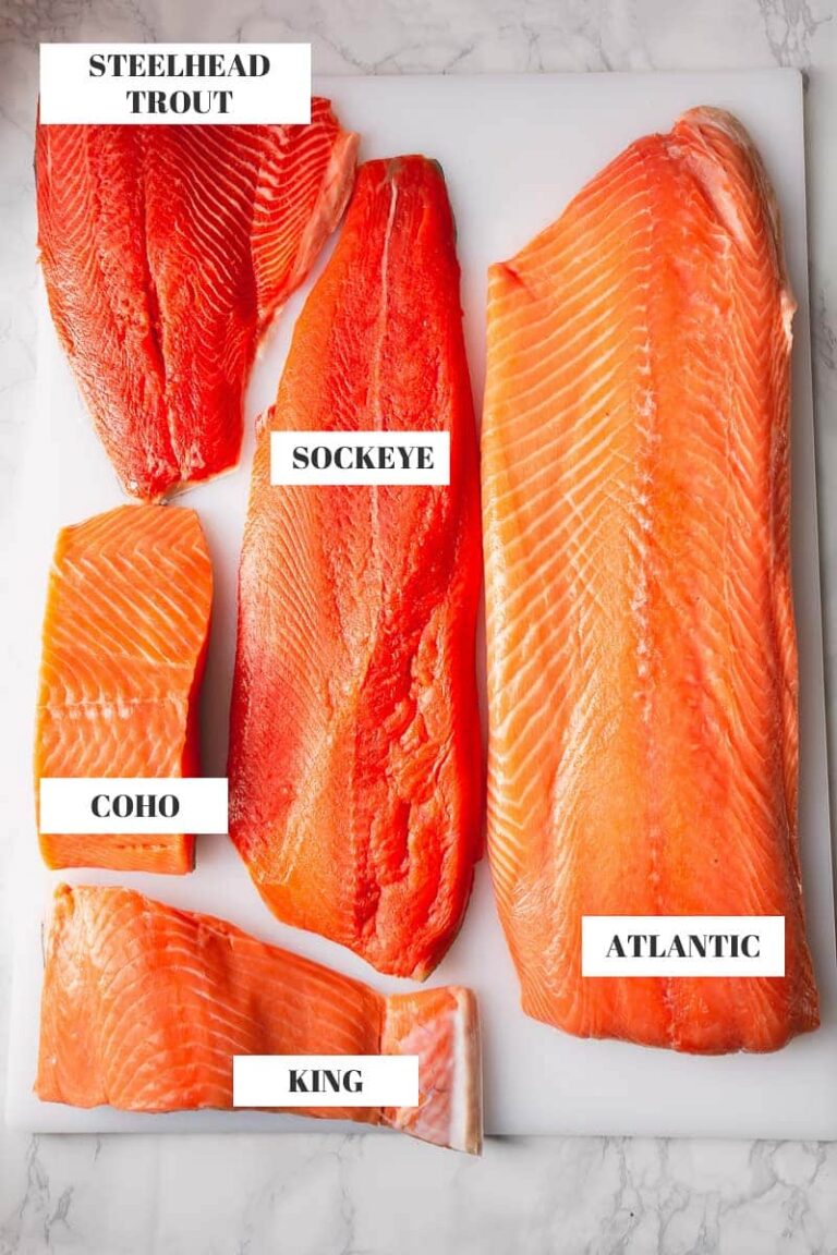 Atlantic Salmon vs Pacific: Salmon Smackdown: Atlantic vs Pacific
