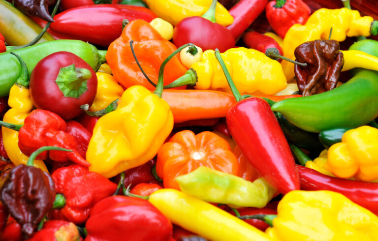 Chiles vs Peppers: Spice Spectrum: Exploring Pepper Varieties